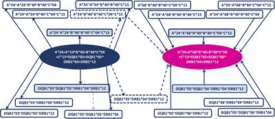 Trans-population graph-based coverage optimization of allogeneic cellular therapy